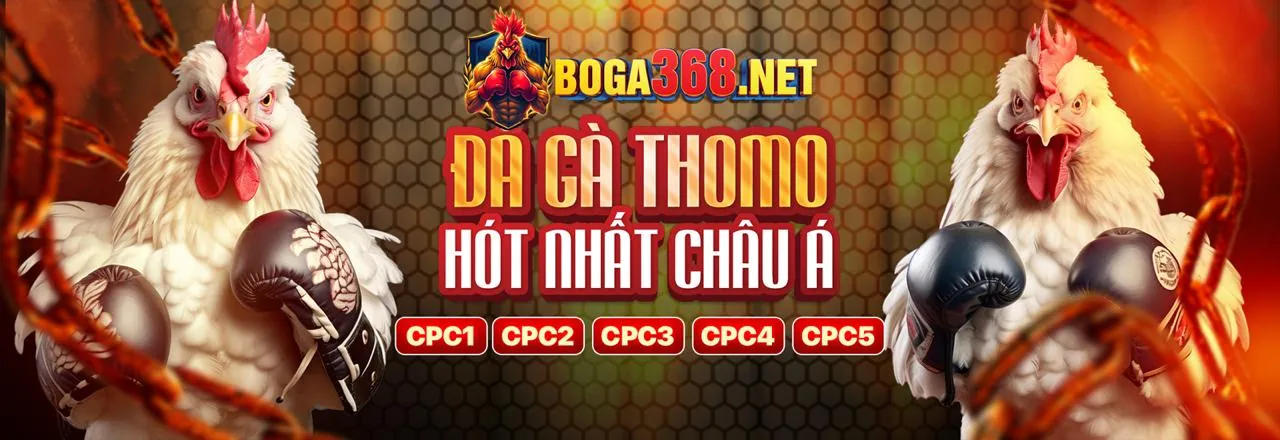 Tổng quan về cá cược thể thao tại 100vip win